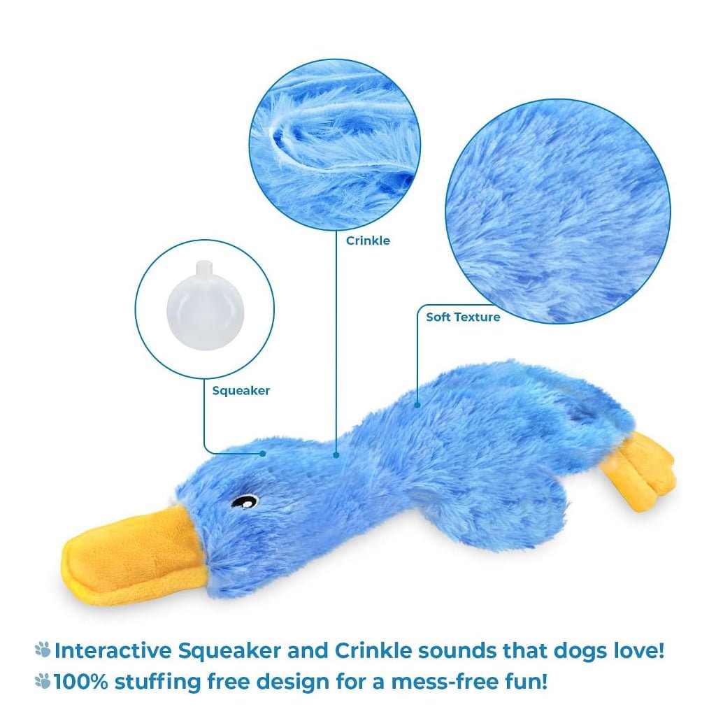 Plush Dog Toys